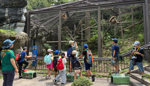 動物園は飼育員と動物との信頼関係で出来ている
